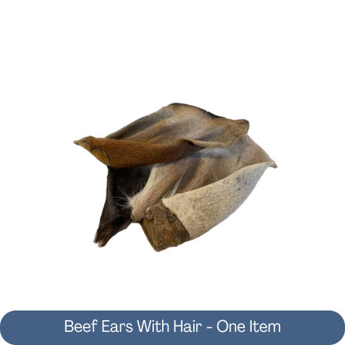 BEEF EARS WITH HAIR – ONE ITEM
