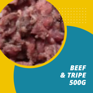 beef tripe