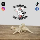 Puffed White Chicken Feet