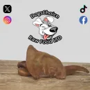 Pigs Ears