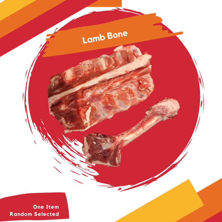 Lamb Bone