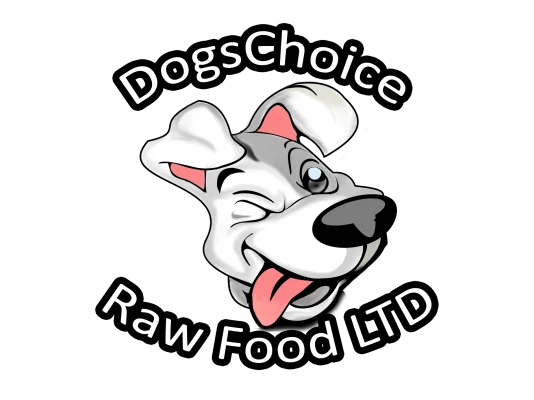 about dogs choice