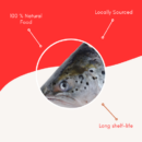 Salmon Head