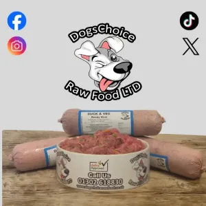 Duck And Veg Ready Meal 500g