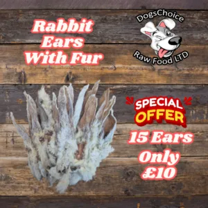 Special - 15 Pack - Rabbit Ears With Fur
