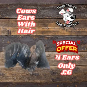 Special - 4 Pack - Cows Ears With Hair