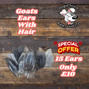 Special - 15 Pack - Goats Ears With Hair